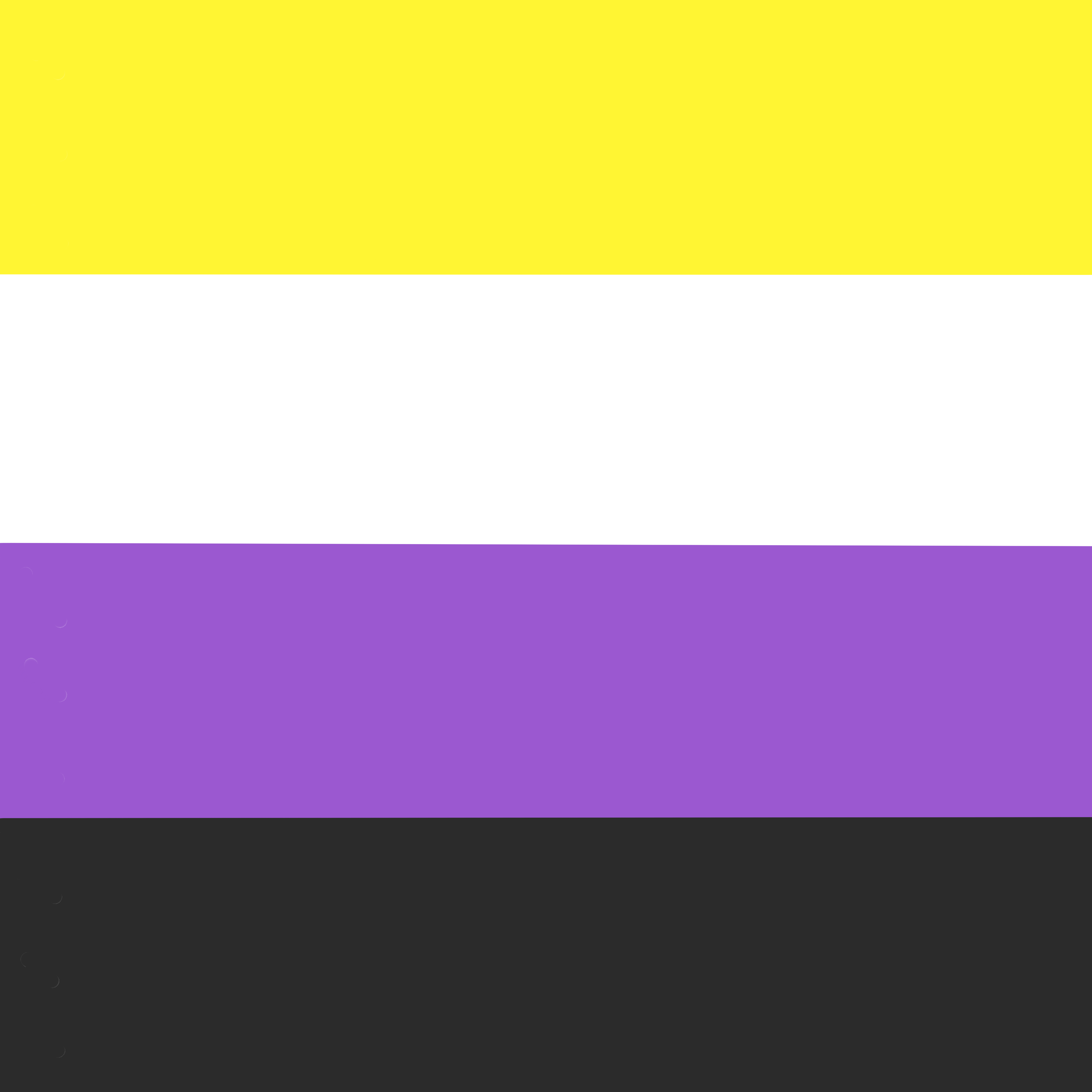 Drapeau non-binaire: 4 couleurs de haut en bas: 
                        jaune, blanc, violet, noir